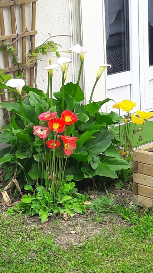 Studio Les coquelicots Saint-Romain-sur-Cher Exterior foto